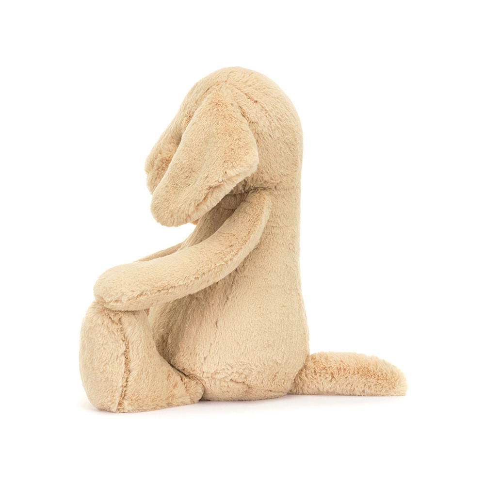 Bashful Luxe Puppy Orlando - Image 12