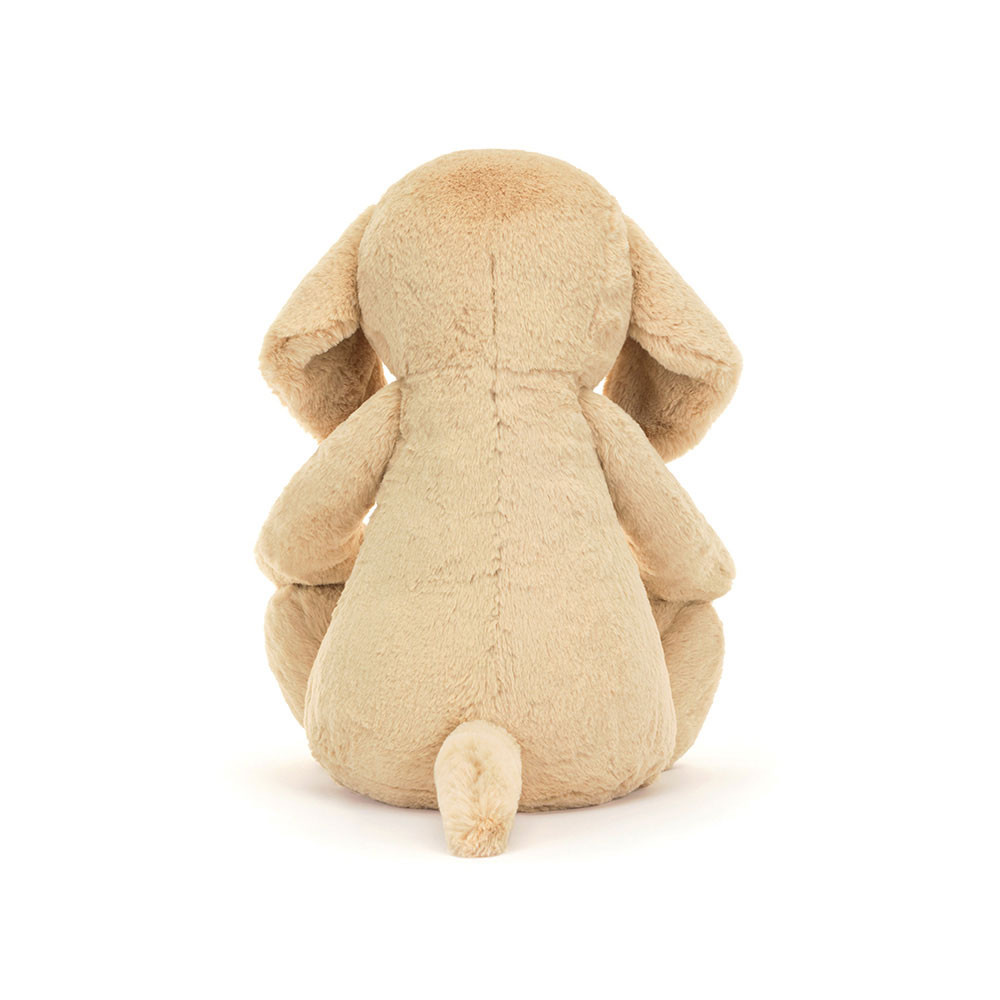 Bashful Luxe Puppy Orlando - Image 13