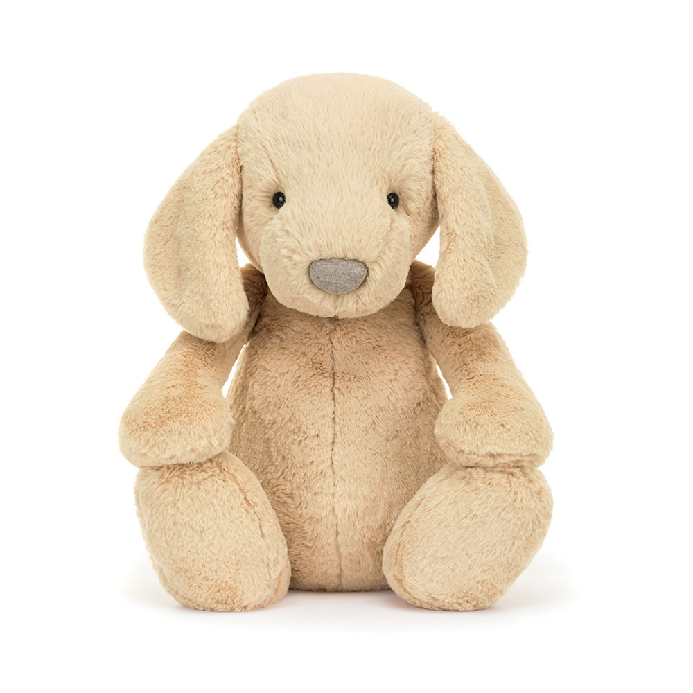 Bashful Luxe Puppy Orlando - Image 14
