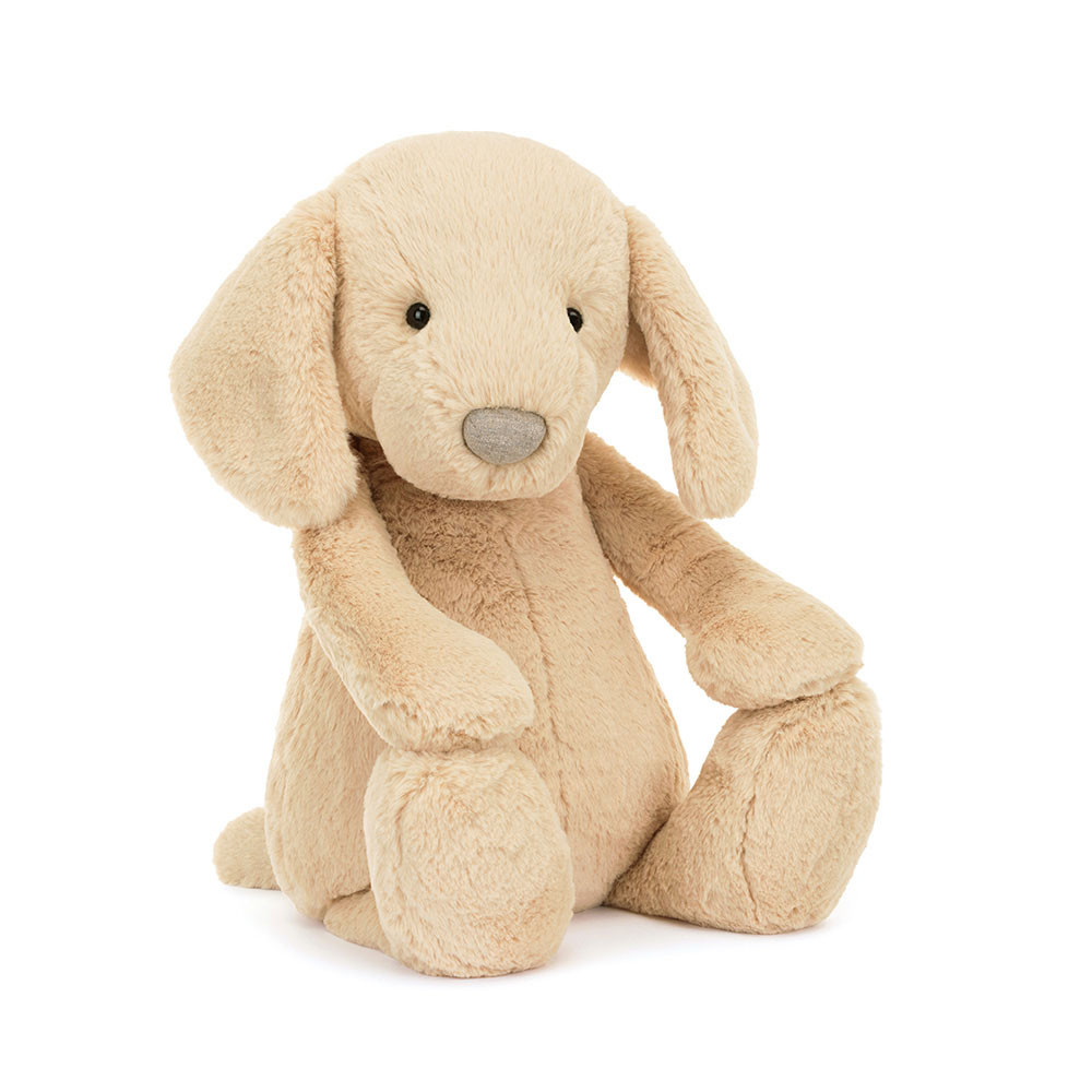 Bashful Luxe Puppy Orlando - Image 11