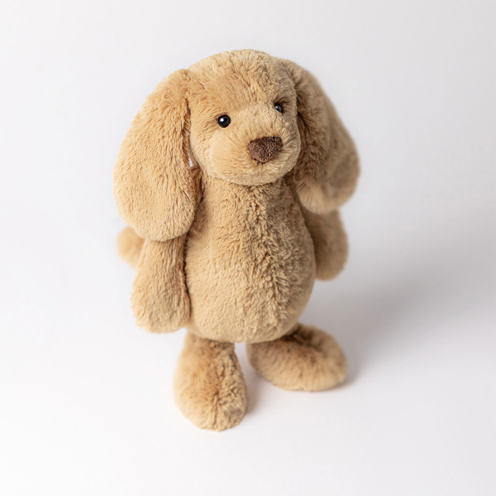 Bashful Toffee Puppy - Image 17