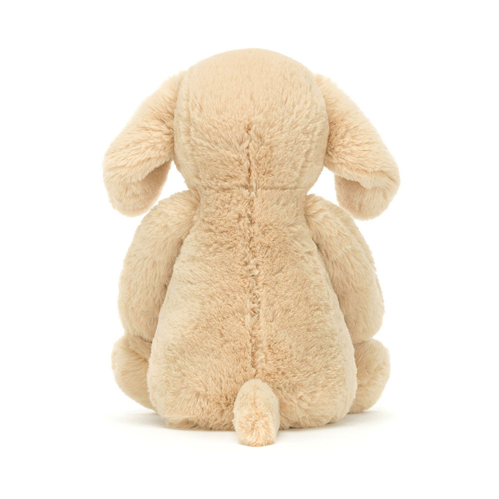 Bashful Luxe Puppy Orlando - Image 4