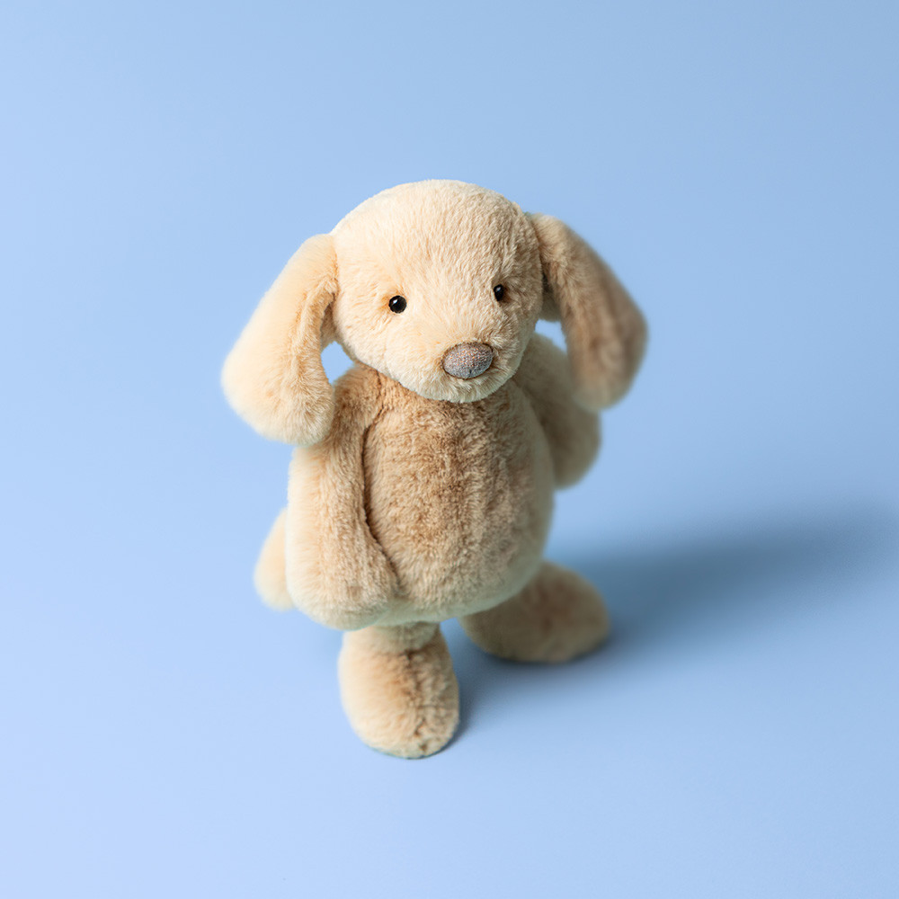 Bashful Luxe Puppy Orlando - Image 7