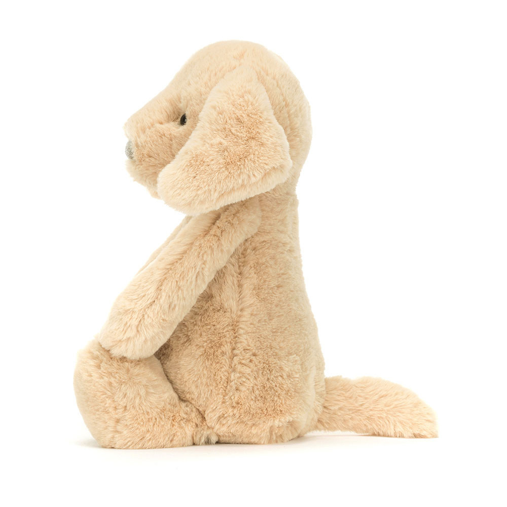 Bashful Luxe Puppy Orlando - Image 8