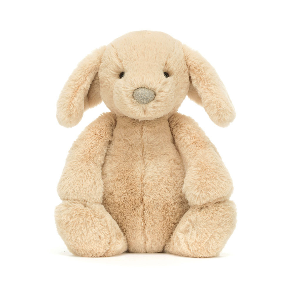 Bashful Luxe Puppy Orlando - Image 10