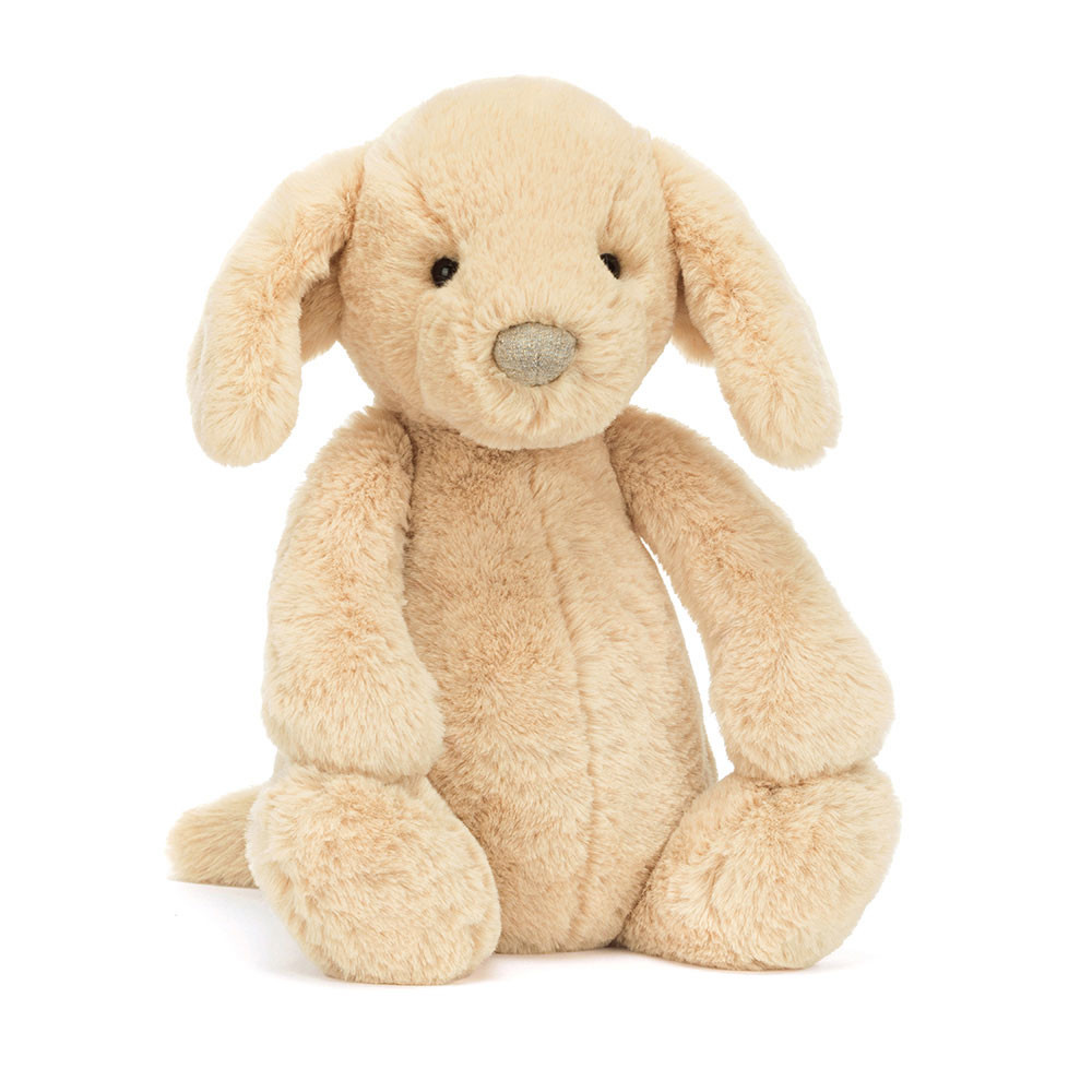 Bashful Luxe Puppy Orlando - Image 6