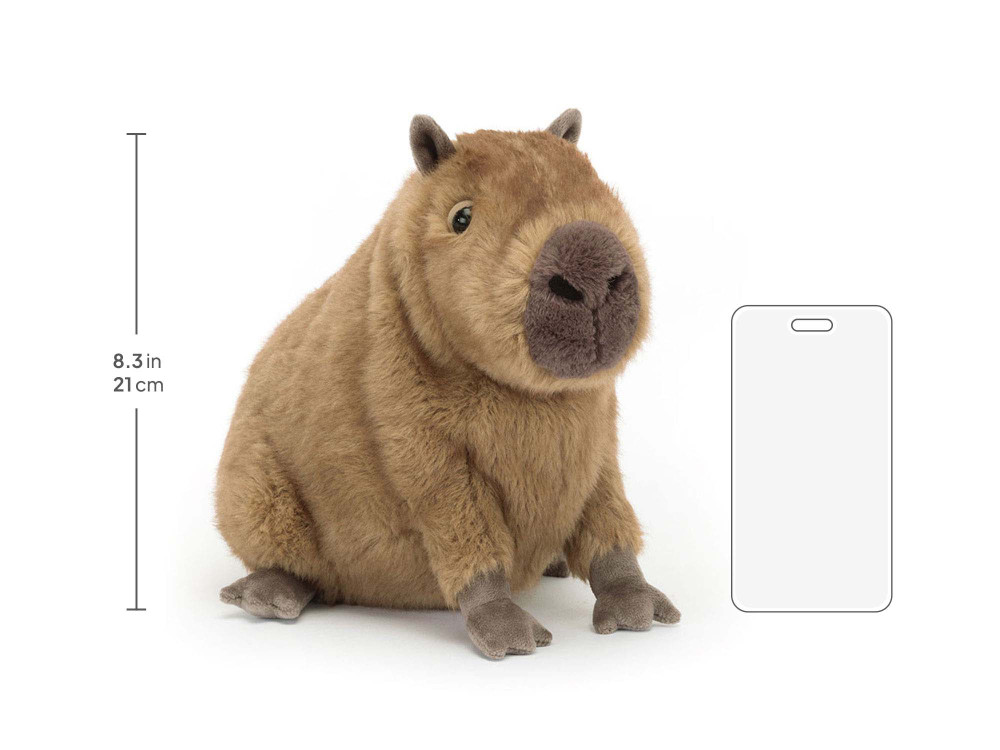 Clyde Capybara - Image 5