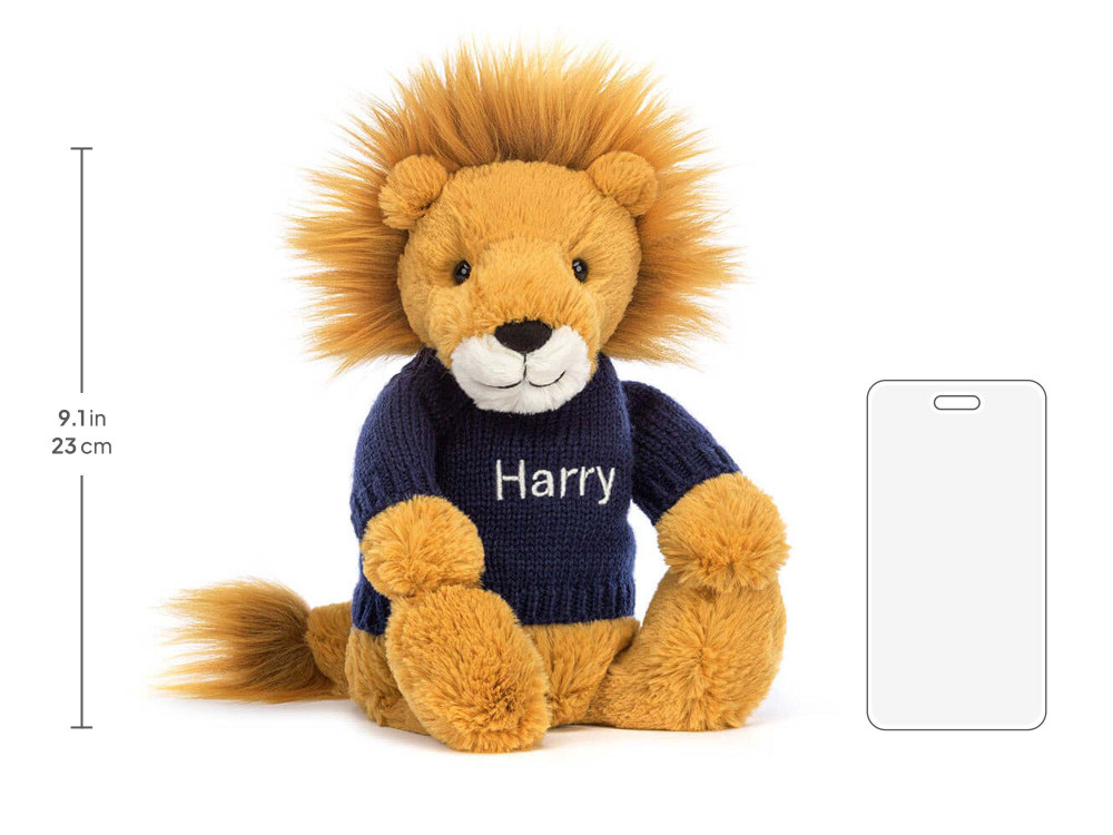 Bashful Lion with Personalized Navy Jumper - Image 5