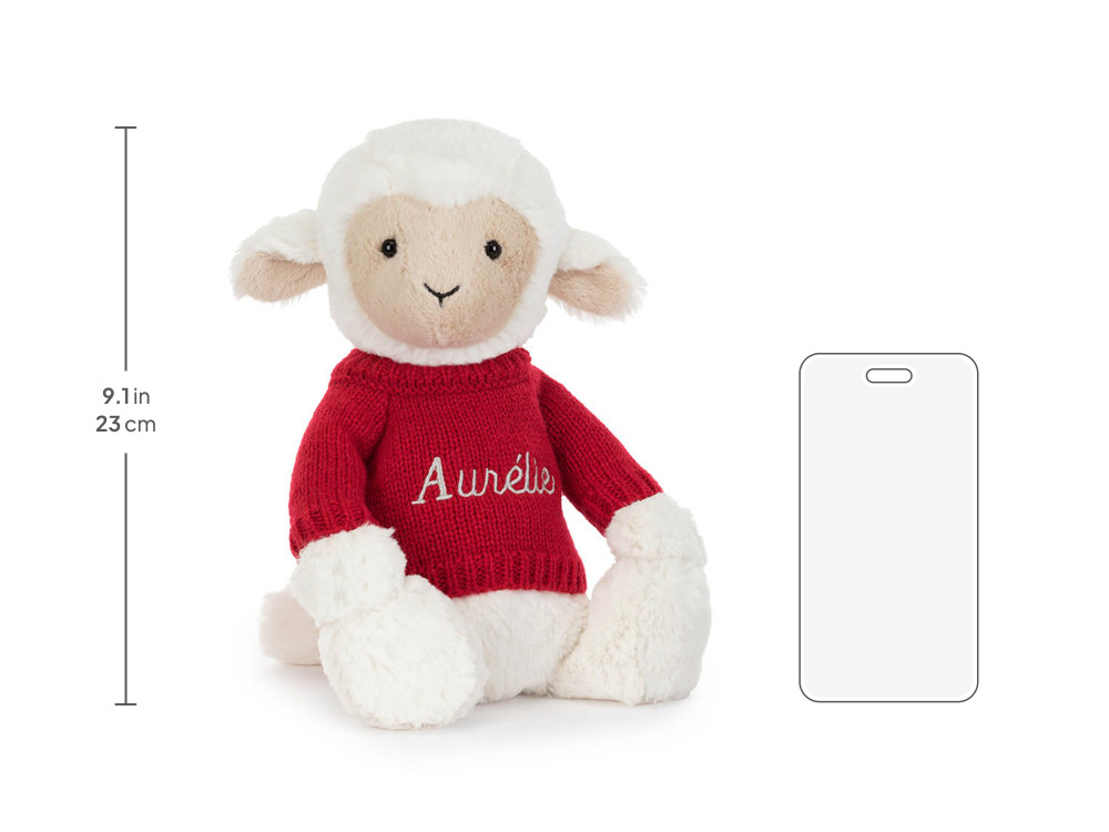 Skipson Lamb with Personalized Red Jumper - Image 6