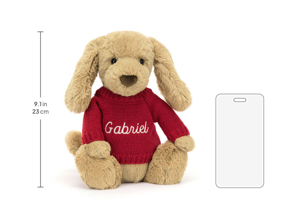 Bashful Toffee Puppy with Personalized Red Jumper - Image 5