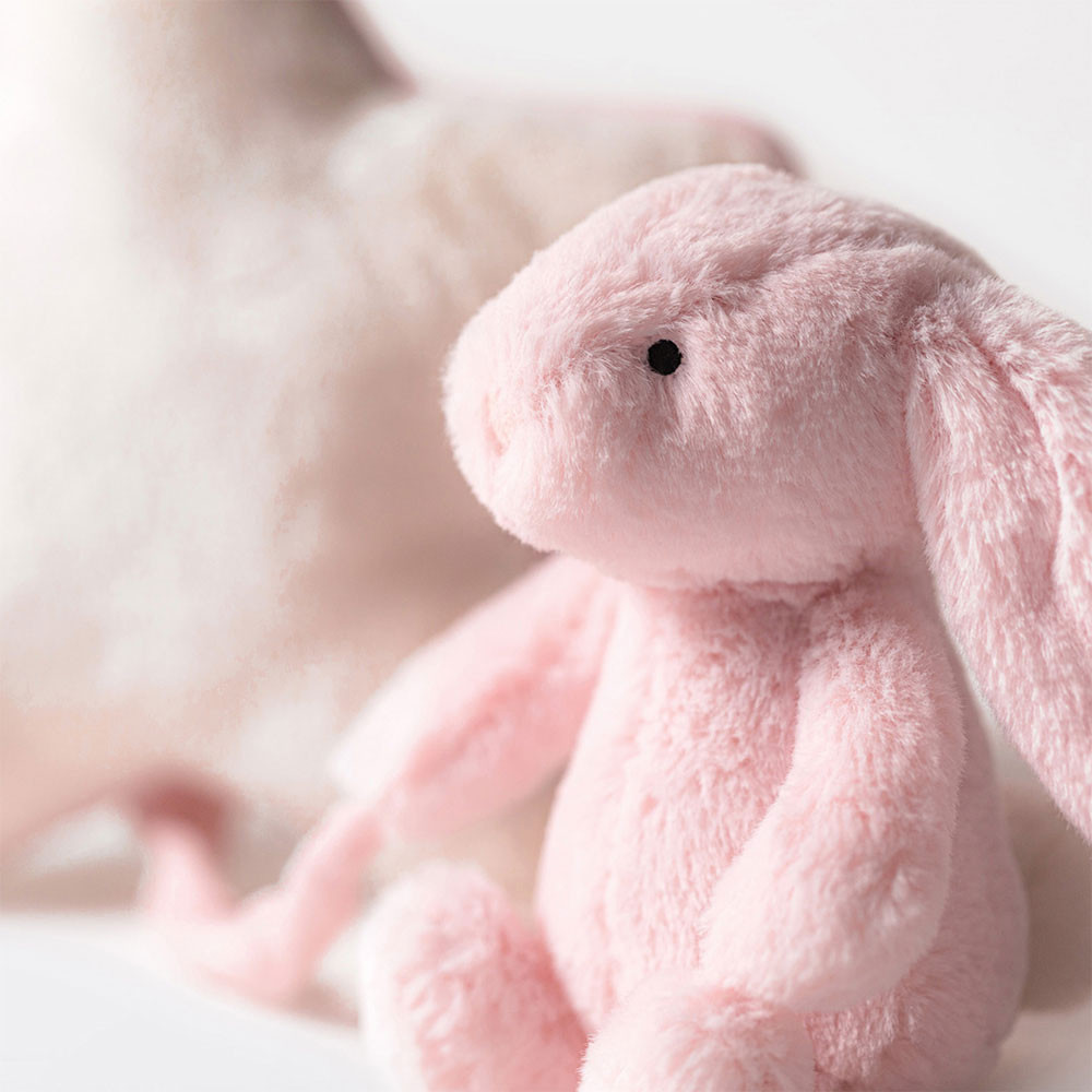 Bashful Bunny Musical Pull - Image 21