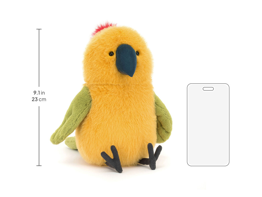 Budgeby Parrot - Image 5