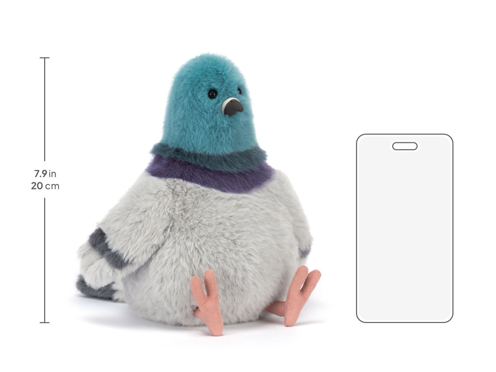 Strutton Pigeon - Image 6