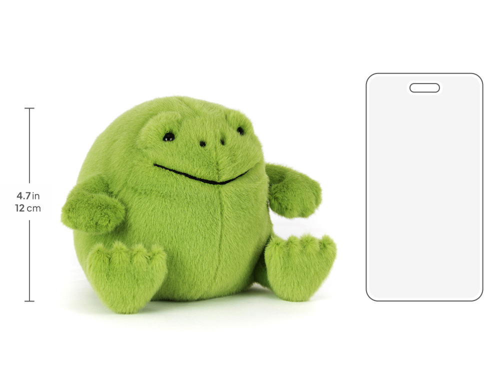 Ricky Rain Frog Smiling - Image 5