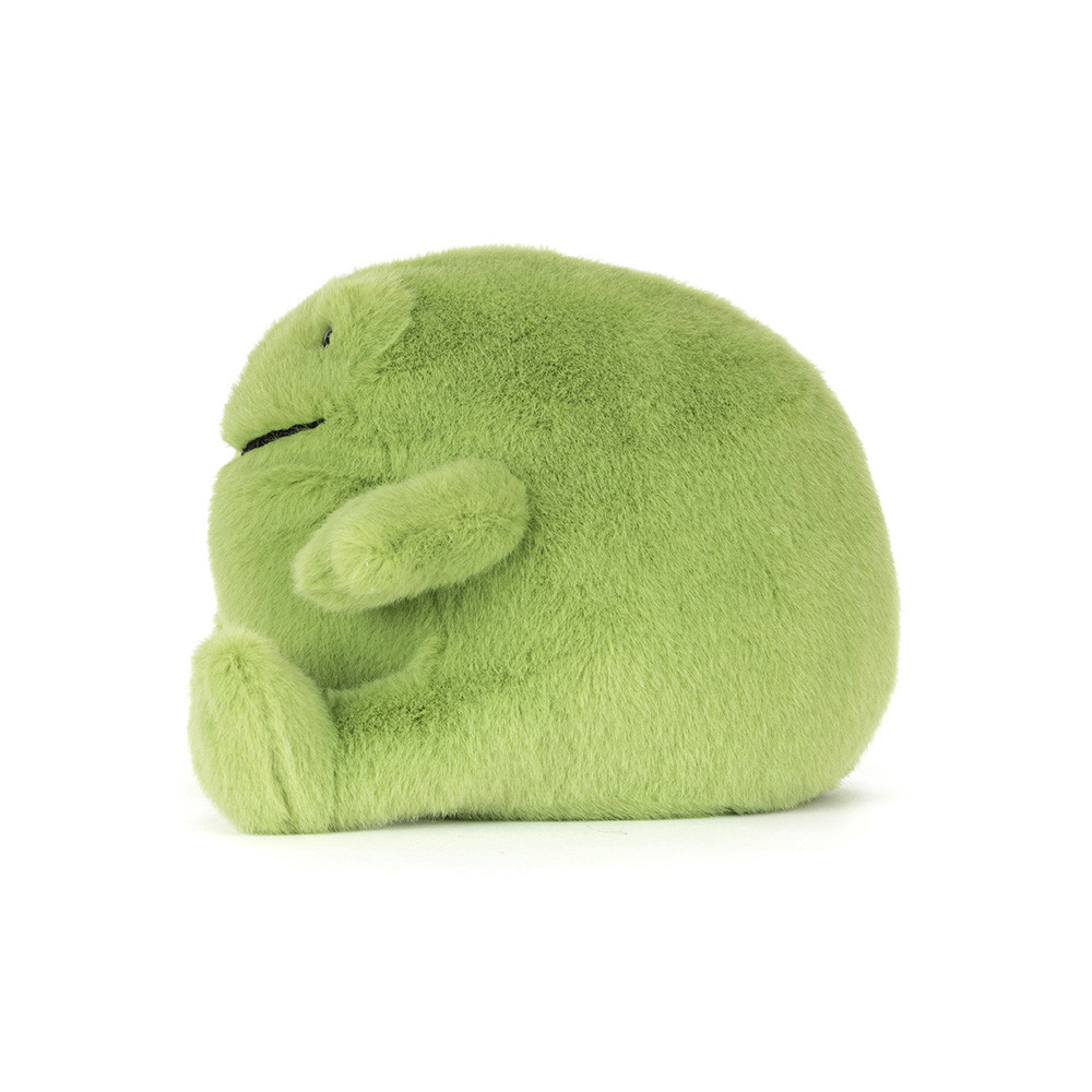 Ricky Rain Frog Smiling - Image 2