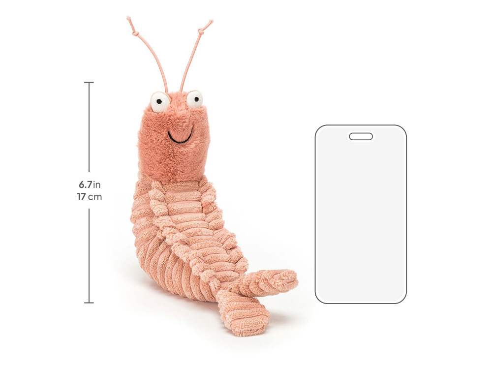 Sheldon Shrimp - Image 4